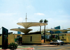 长葛膜结构案例